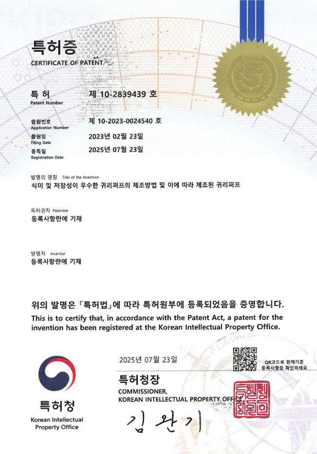 �͸����� �������